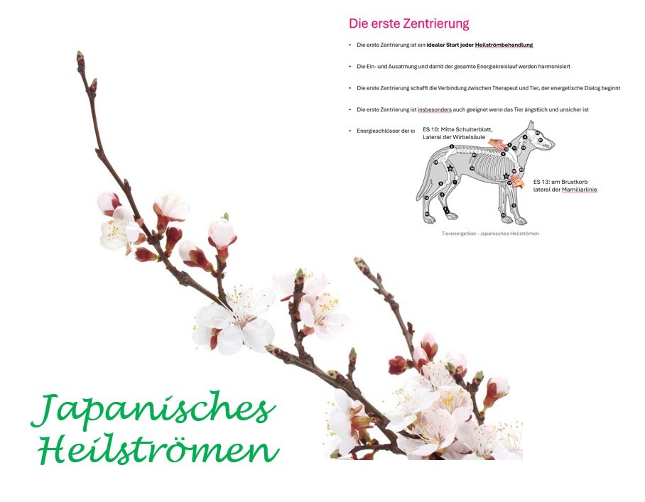 Japanisches Heilströmen